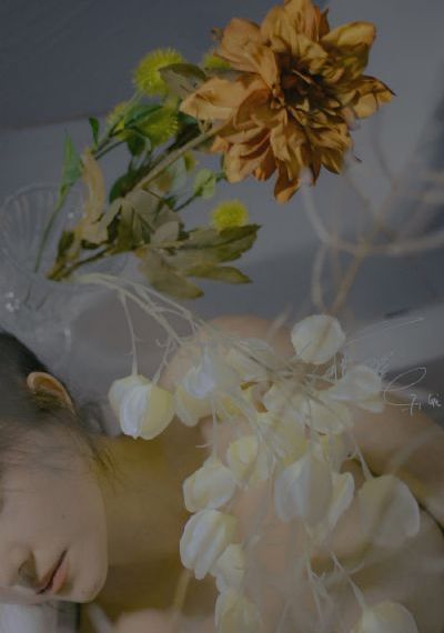 苍兰诀免费看_BD高清迅雷在线观看